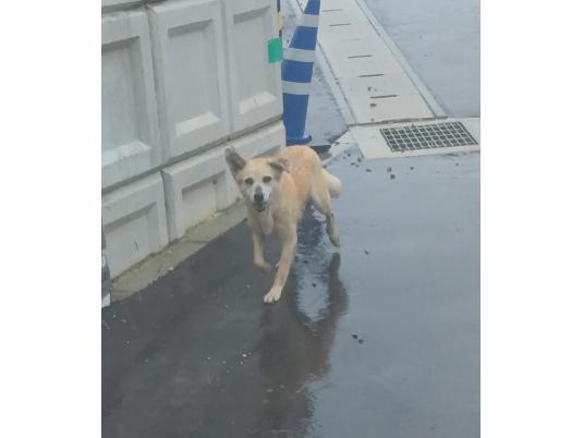 枚目写真