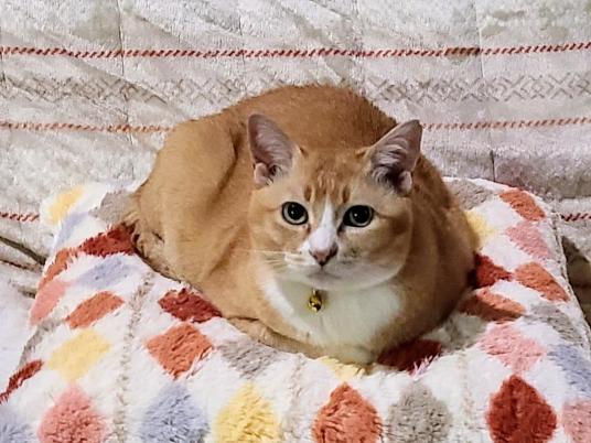 枚目写真