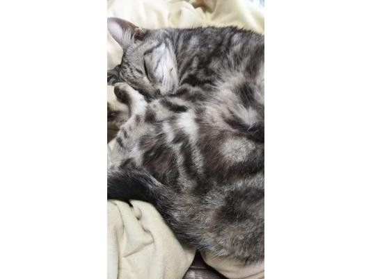 枚目写真