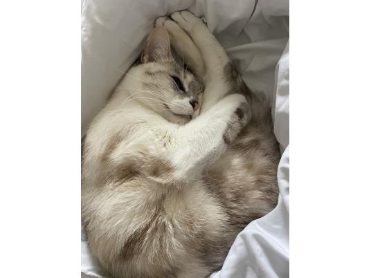 枚目写真