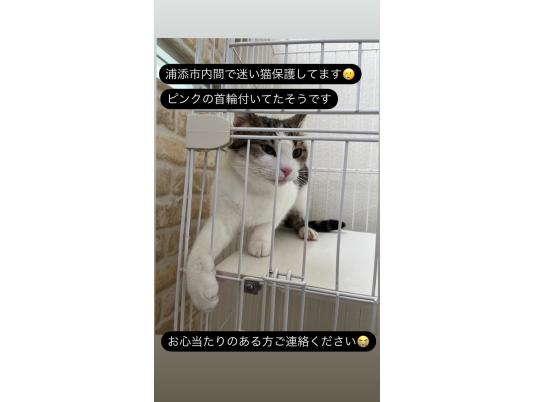 枚目写真