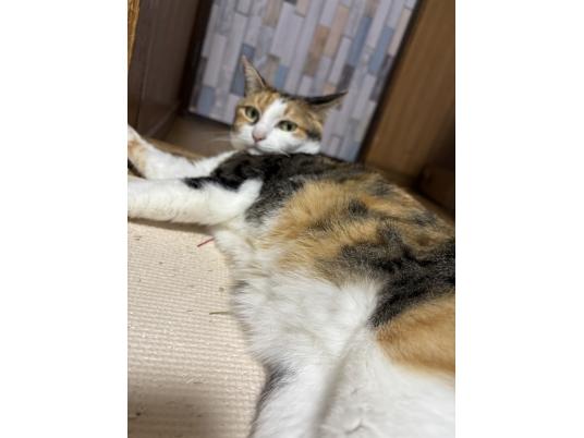 枚目写真