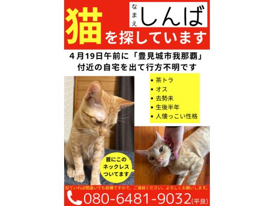枚目写真