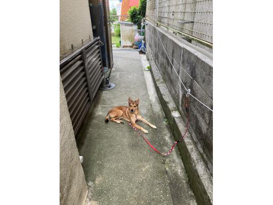 枚目写真
