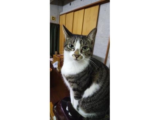 枚目写真