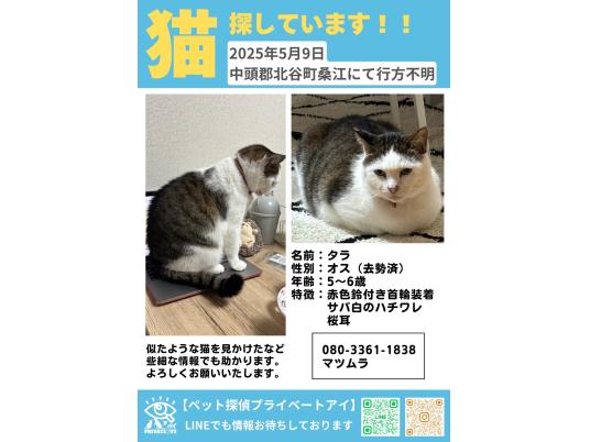 枚目写真
