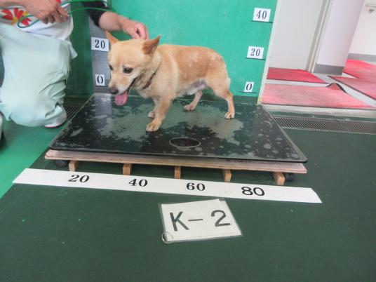 枚目写真