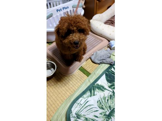 枚目写真