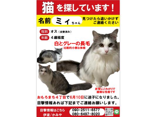 枚目写真