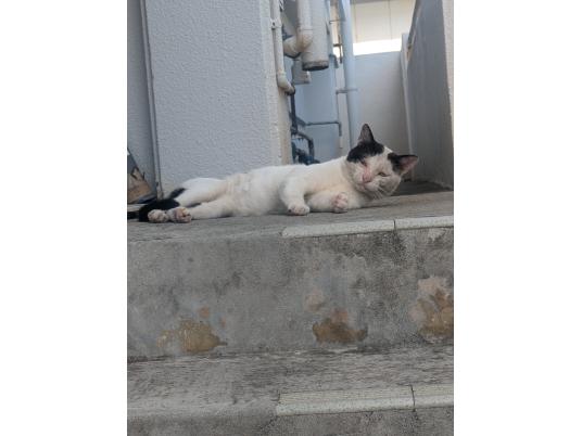 枚目写真