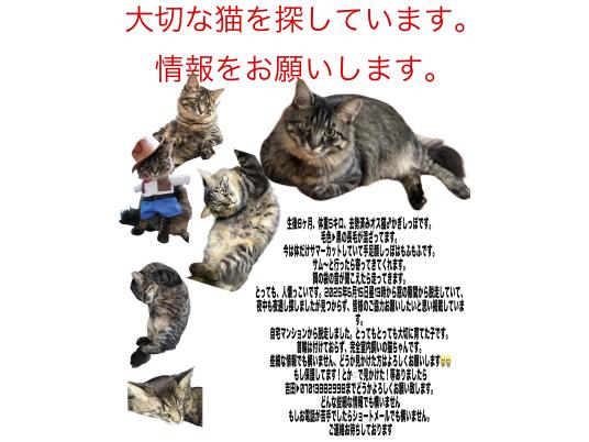 枚目写真