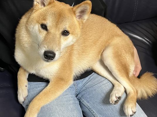 枚目写真