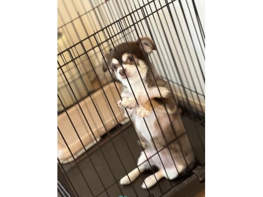 枚目写真