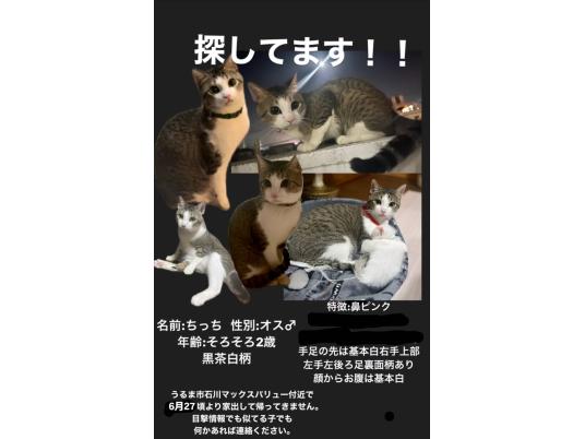 枚目写真