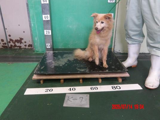 枚目写真