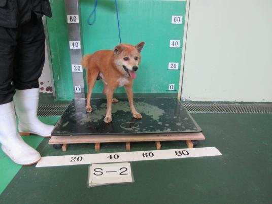 枚目写真