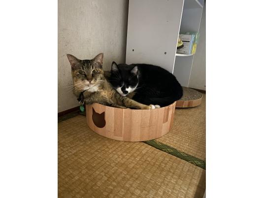 枚目写真