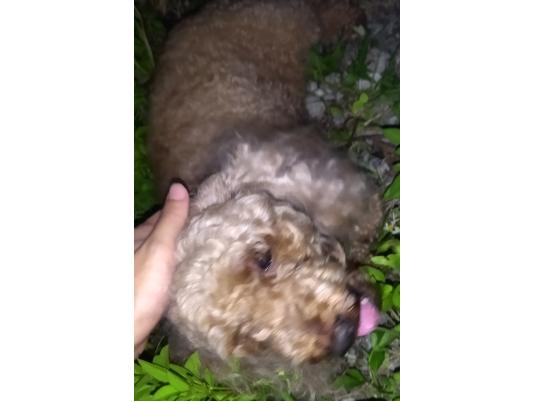 枚目写真
