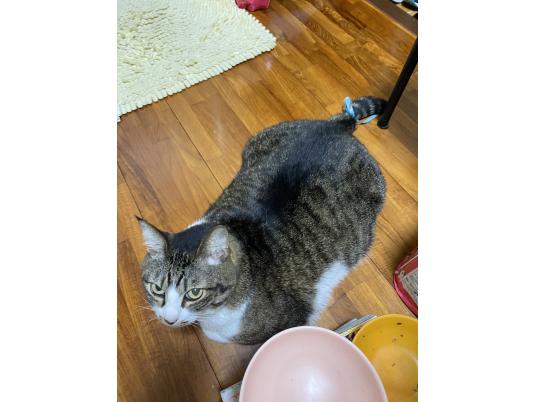 枚目写真