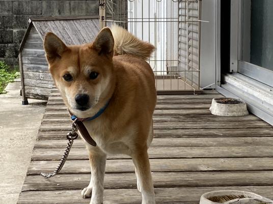 枚目写真