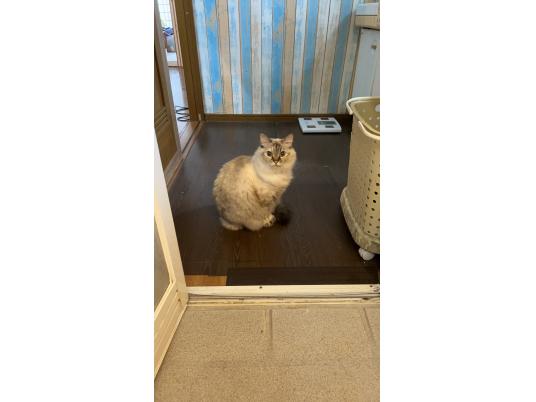 枚目写真