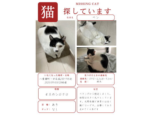 枚目写真