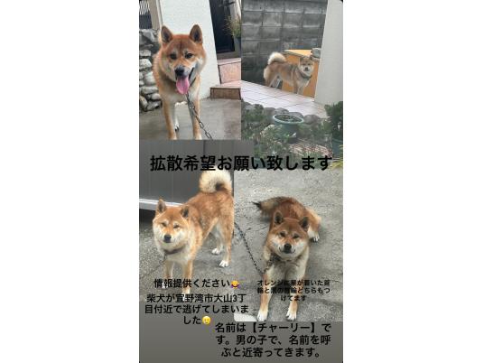枚目写真