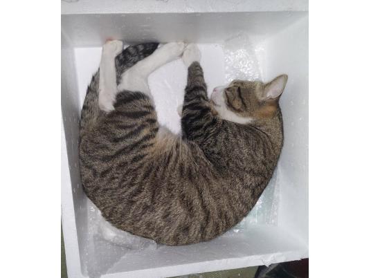 枚目写真