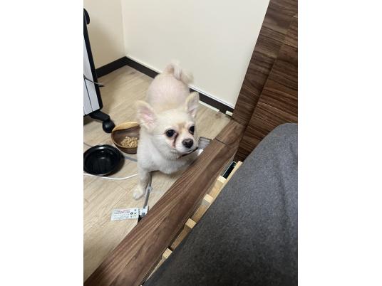 枚目写真