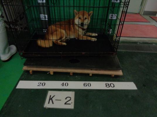 枚目写真