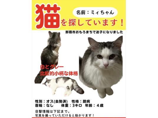 枚目写真