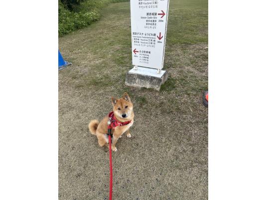 枚目写真