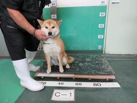 枚目写真