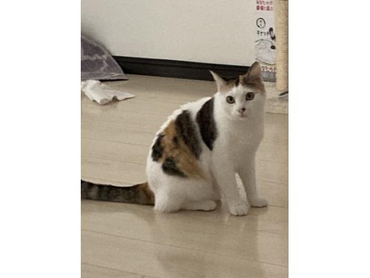 枚目写真