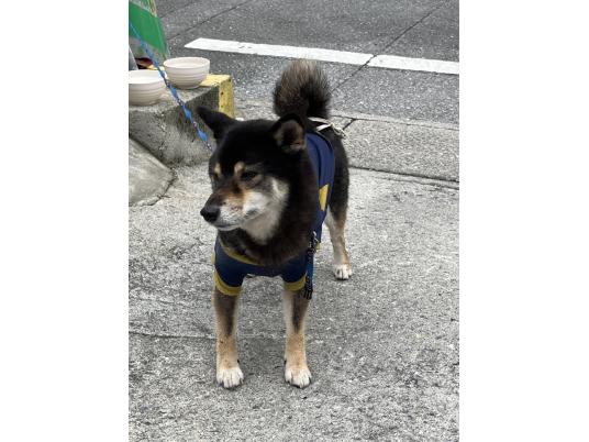 枚目写真