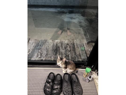 枚目写真