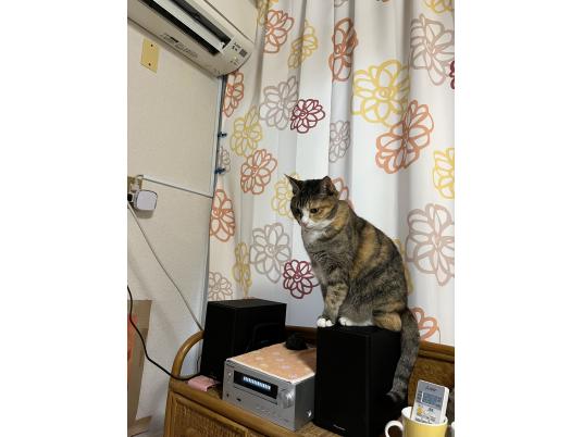 枚目写真