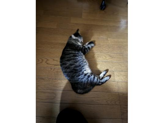 枚目写真