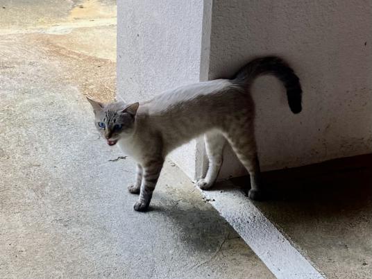 枚目写真