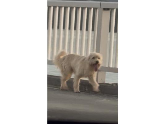 枚目写真