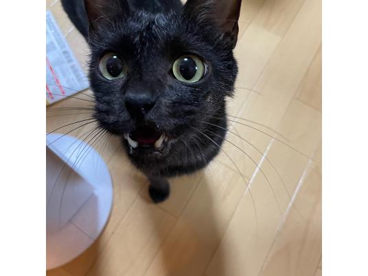 枚目写真