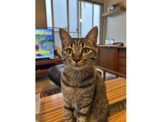 枚目写真