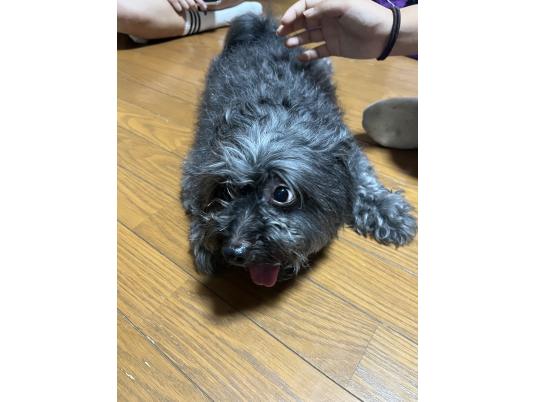 枚目写真