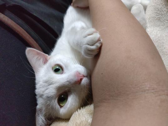 枚目写真