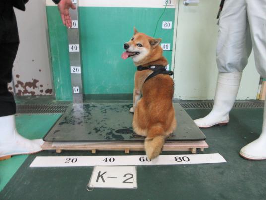 枚目写真