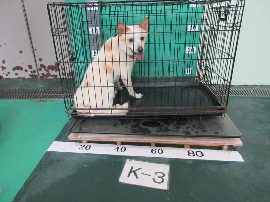 枚目写真