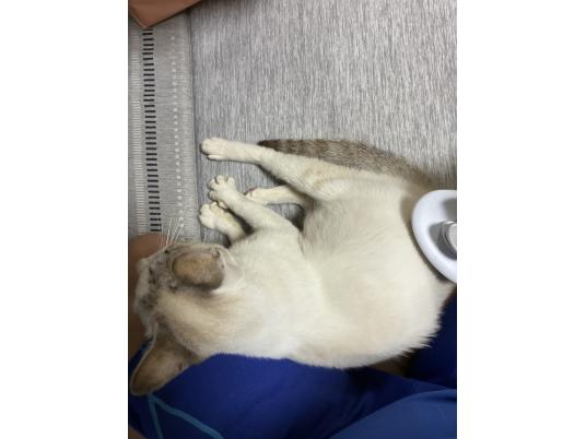 枚目写真