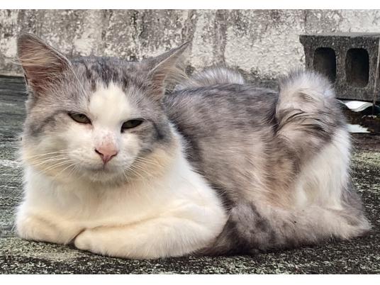 枚目写真