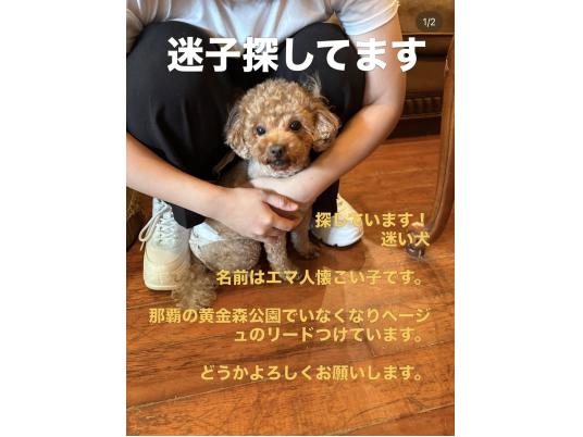 枚目写真