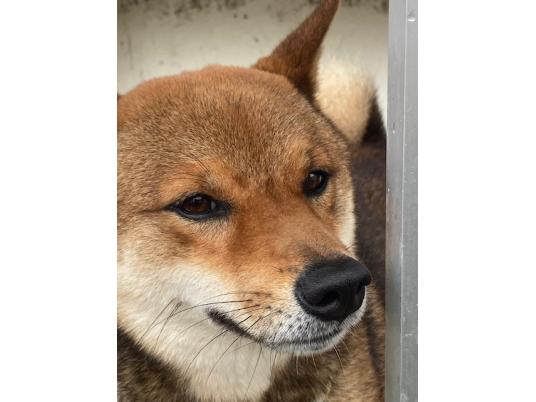 枚目写真